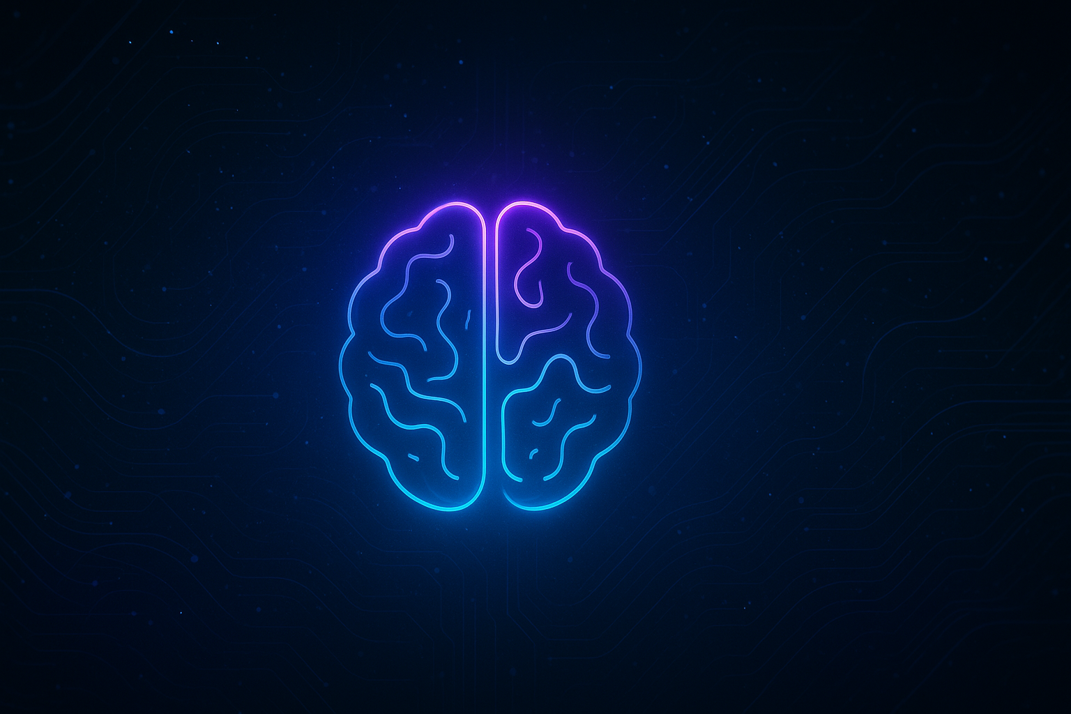 Neural Network